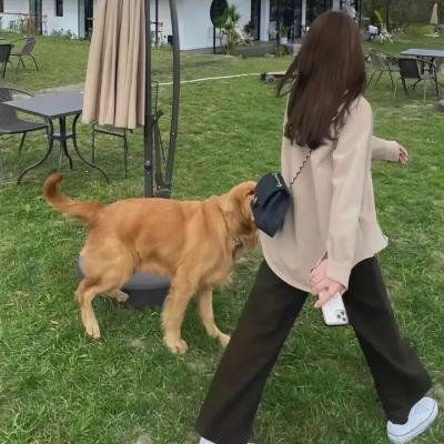 埃莉莎，我的爱